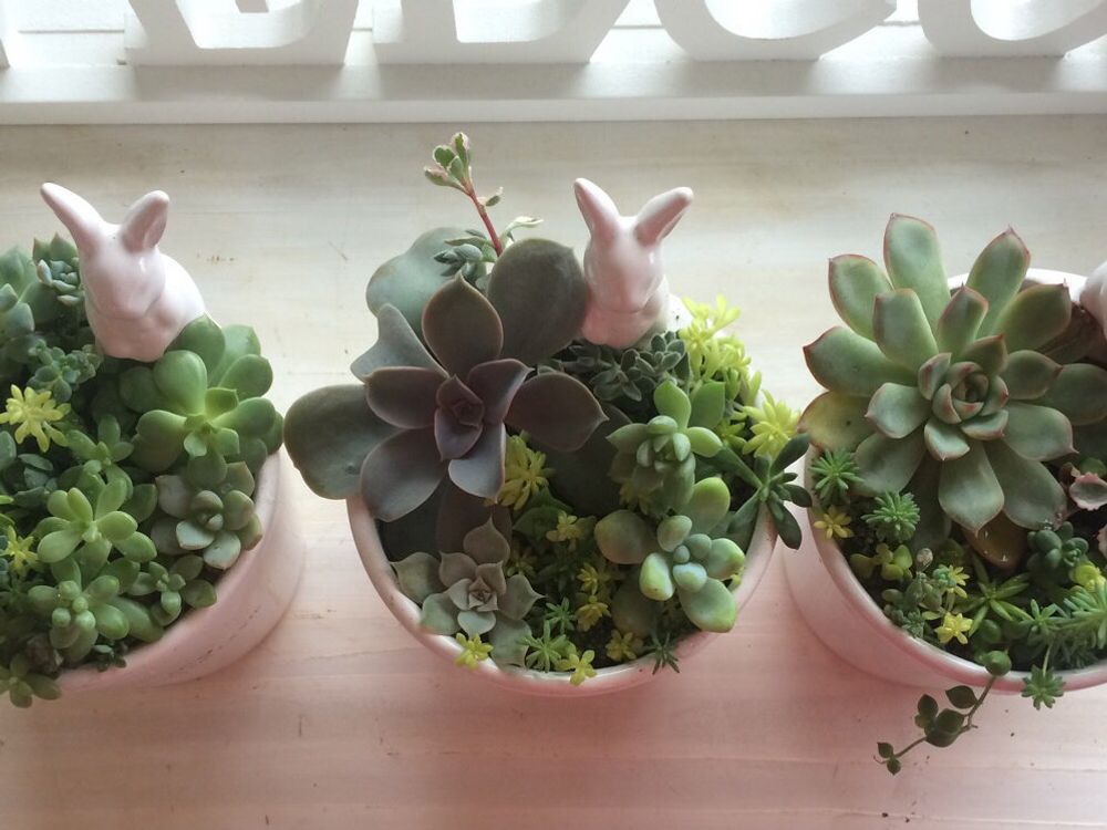 天使の雫　窓際