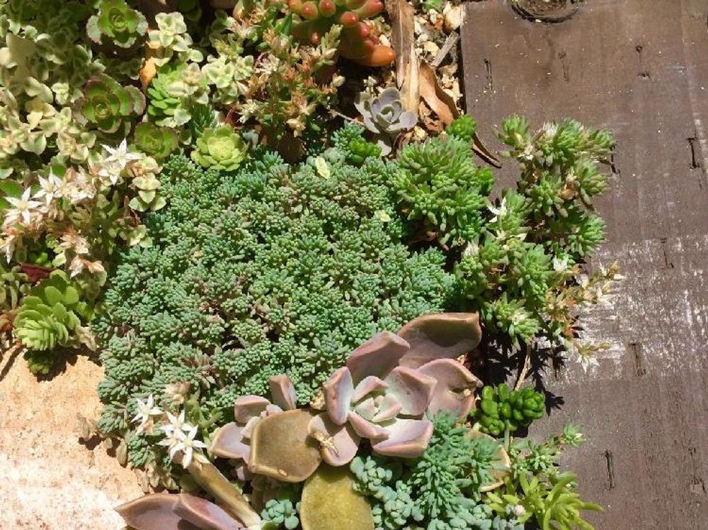 Photo by ももさん