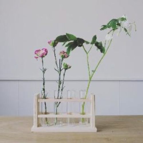 試験管インテリア が素敵 小花や多肉植物をナチュラルに飾ろう Greensnap グリーンスナップ