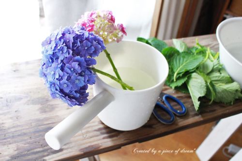 簡単diy Vol 10 切り花の紫陽花を長持ちさせる 方法 Greensnap グリーンスナップ 簡単diy Vol 10 切り花の紫陽花を長持ちさせる 方法 Greensnap グリーンスナップ