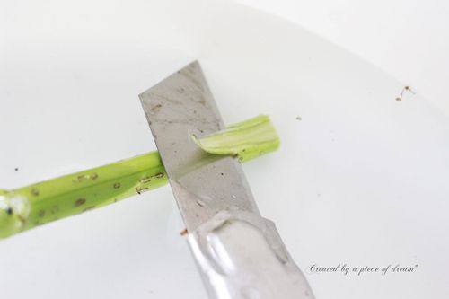 簡単diy Vol 10 切り花の紫陽花を長持ちさせる 方法 Greensnap グリーンスナップ