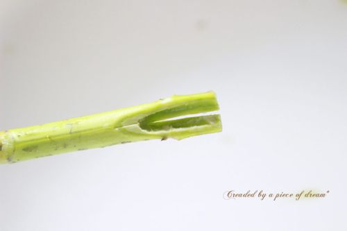 簡単diy Vol 10 切り花の紫陽花を長持ちさせる 方法 Greensnap グリーンスナップ 簡単diy Vol 10 切り花の紫陽花を長持ちさせる 方法 Greensnap グリーンスナップ