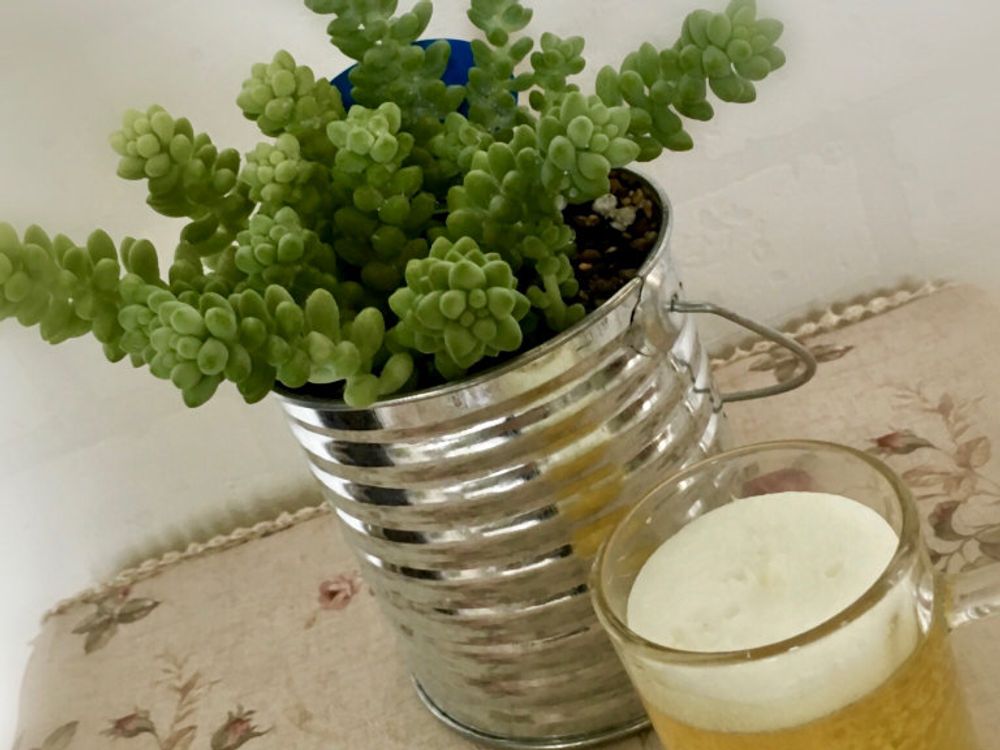 ビアホップ(新玉つづり)　