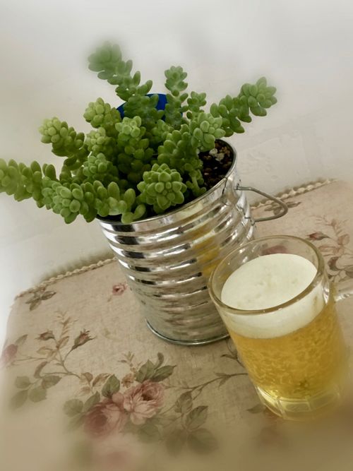 ビアホップの育て方 日当たりや水やり加減は 屋外で冬越しできる Greensnap グリーンスナップ