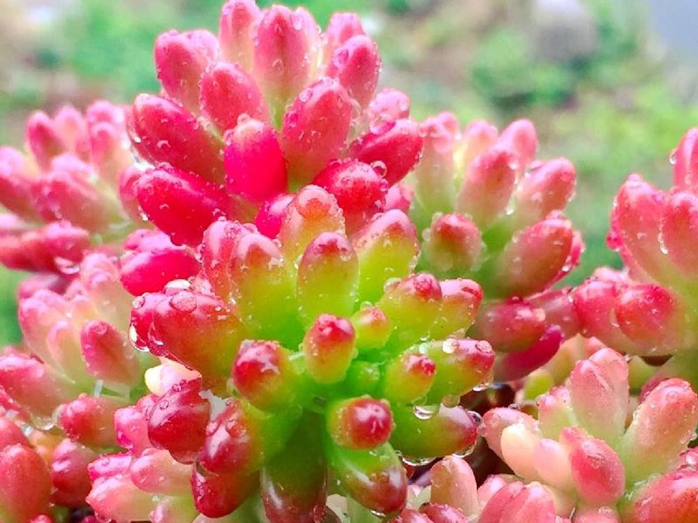 オーロラ　水滴