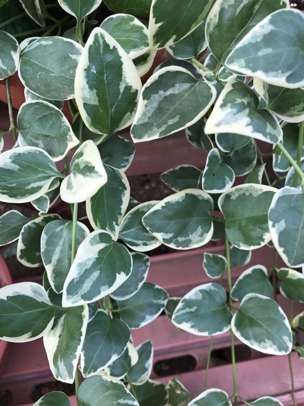 Photo by ♪ゆみさん