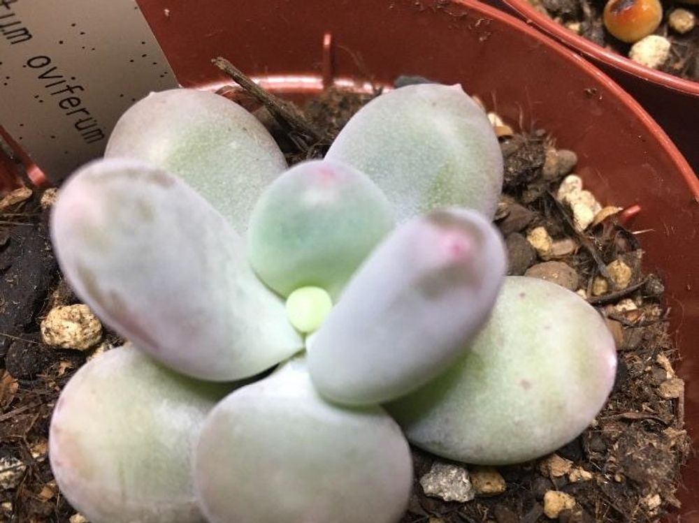 Photo by 花が好きさん