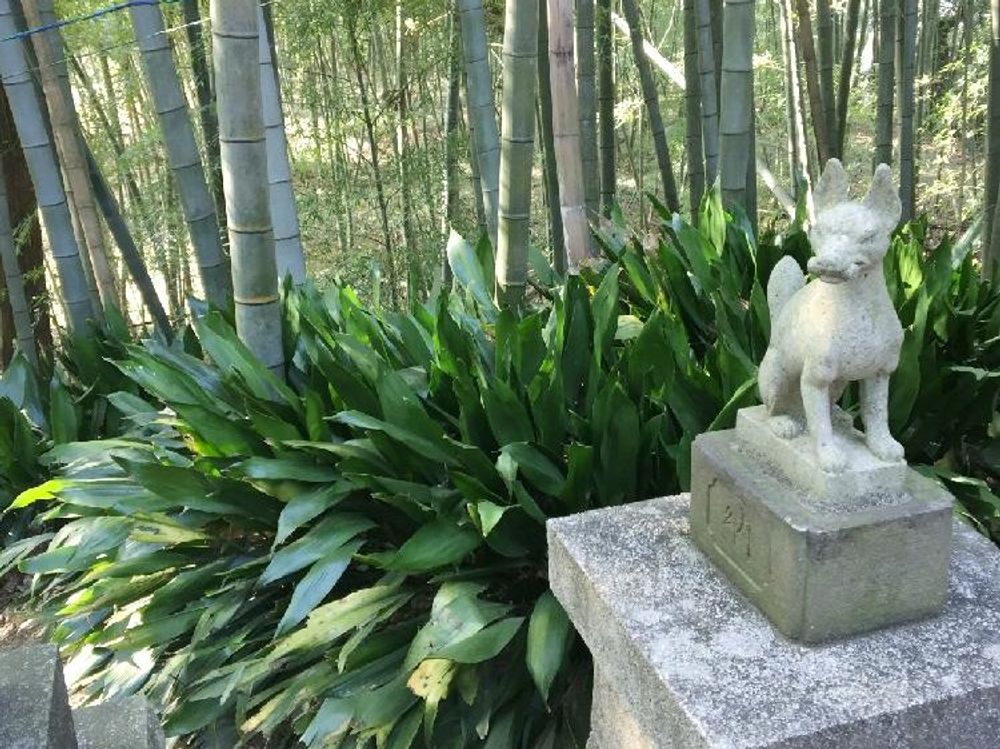 ハラン　地植え　狛犬