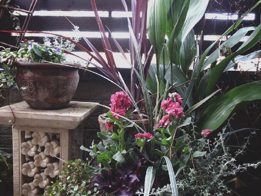 ハラン　ベランダ　寄植え