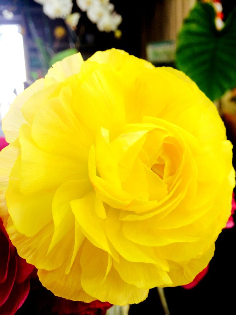 Photo by しずく358✴︎さん