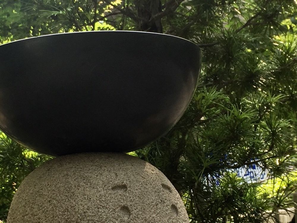 コウヤマキ(高野槙)　