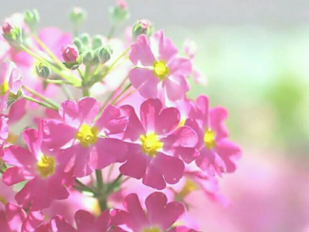 Photo by 香音さん