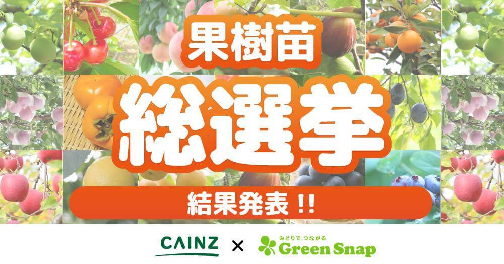 結果発表 Cainz Greensnap総選挙シリーズの第3弾は 果樹苗総選挙 Greensnap グリーンスナップ