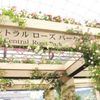 国際バラとガーデニングショウ2018レポ前編(バラと小屋編)の画像