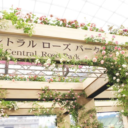 国際バラとガーデニングショウ18レポ前編 バラと小屋編 Greensnap グリーンスナップ