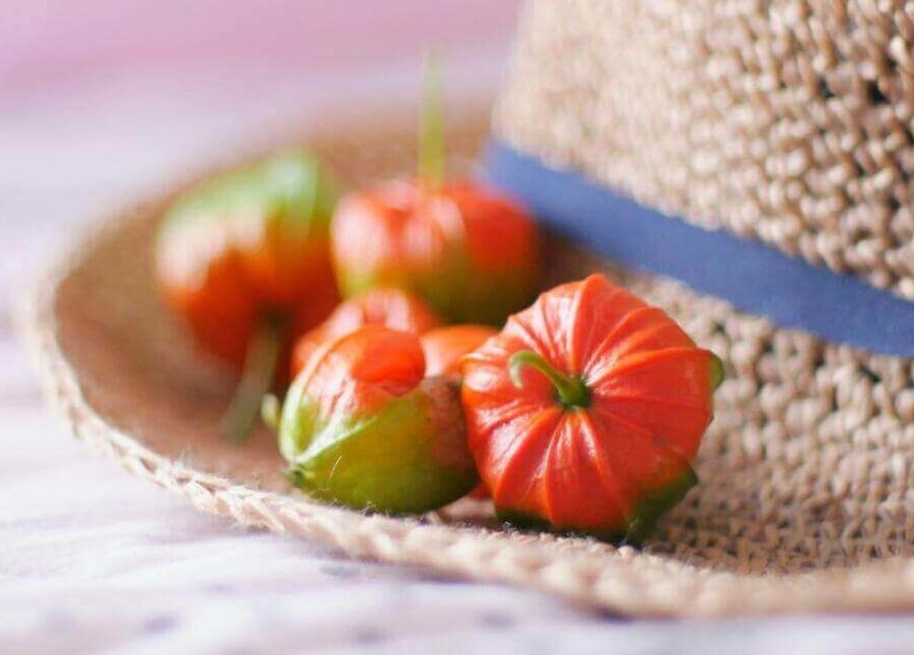 ほおずき(鬼灯)　赤い実