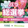 【結果発表】CAINZ☓GreenSnapの総選挙シリーズの第5弾『バラ総選挙』の画像