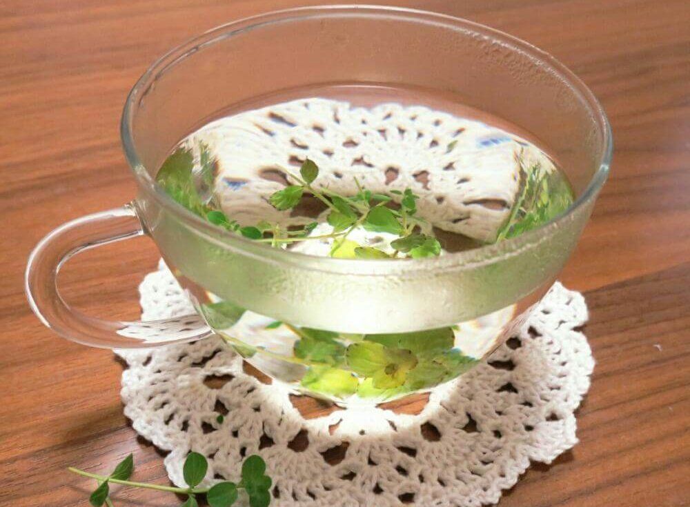 レモンタイム　ハーブティー