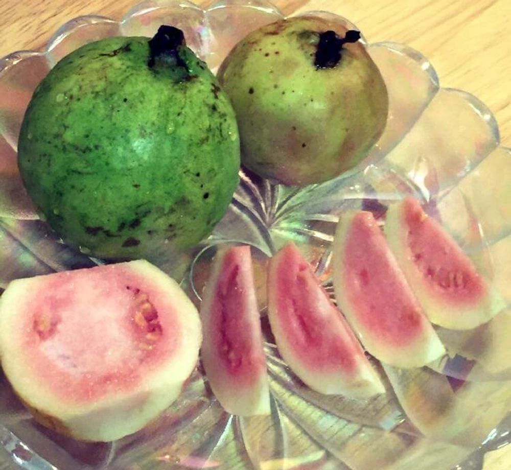 グアバ、photo by *ﾟ月うさぎᙏ̤̫