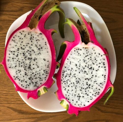 ドラゴンフルーツの育て方 栽培のポイントは 鉢植えでも育つ Greensnap グリーンスナップ