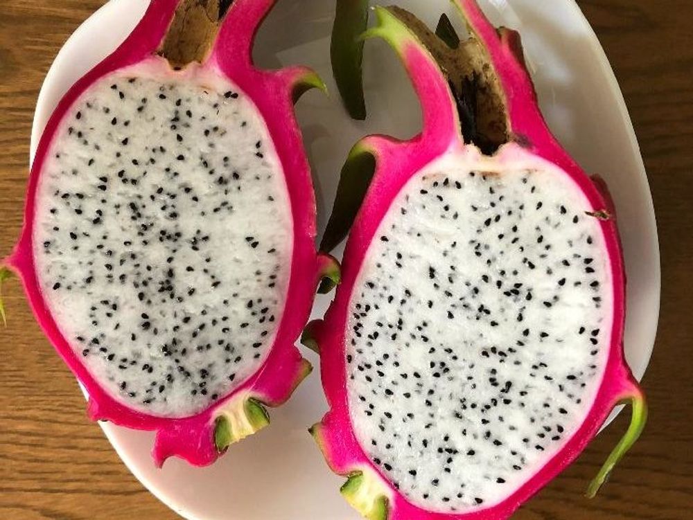 ホワイトピタヤ　実　断面