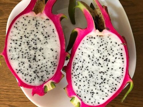 ドラゴンフルーツの育て方 栽培のポイントは 鉢植えでも育つ Greensnap グリーンスナップ ドラゴンフルーツの育て方 栽培のポイントは 鉢植えでも育つ Greensnap グリーンスナップ