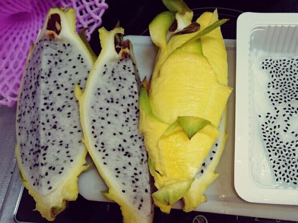 イエロータピア　黄色い皮