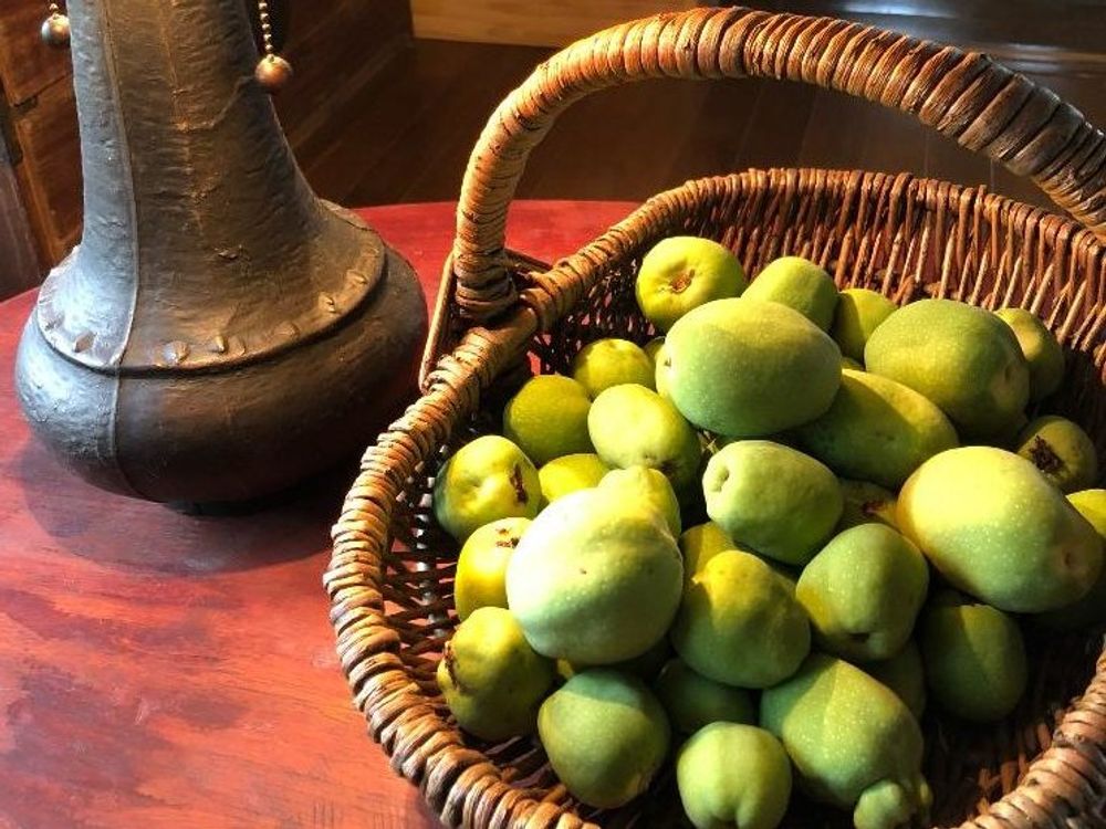 木瓜(ボケ)　実