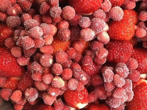 ワイルドストロベリーの育て方 苗植えや種まき 収穫の時期は 地植え栽培に向いてる Greensnap グリーンスナップ