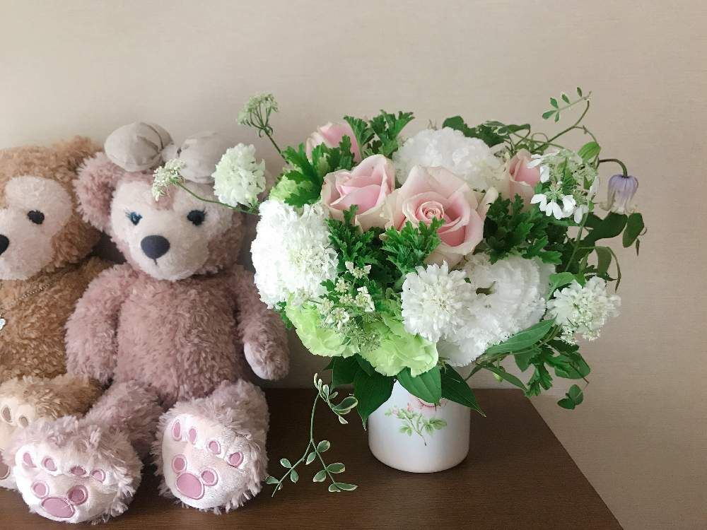 ローズゼラニウム　鉢植え　寄植え　屋内