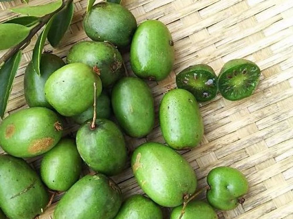 サルナシ(ベビーキウイ)　実