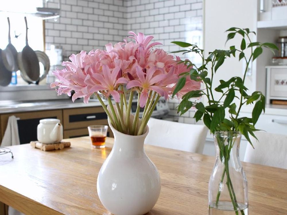 ナツズイセン(夏水仙)　花瓶　ピンク色の花