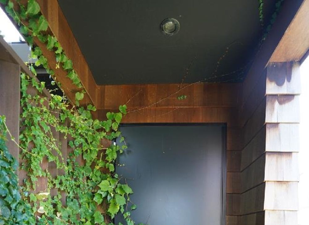 ツタ　葉　壁沿い