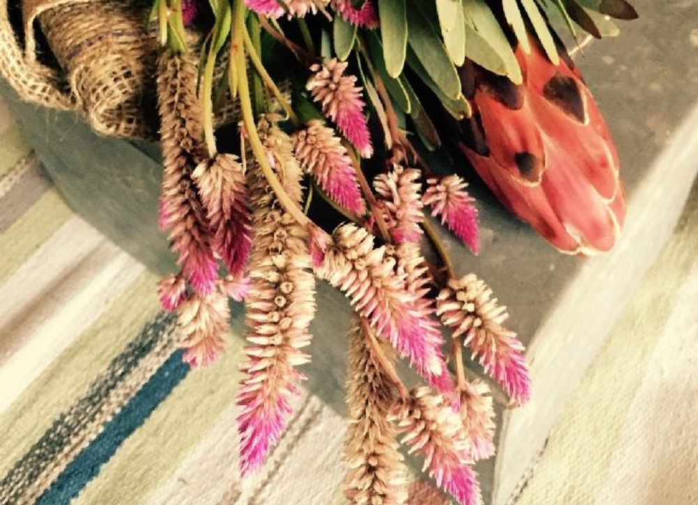 セロシア・ローズベリーパフェ　赤い花