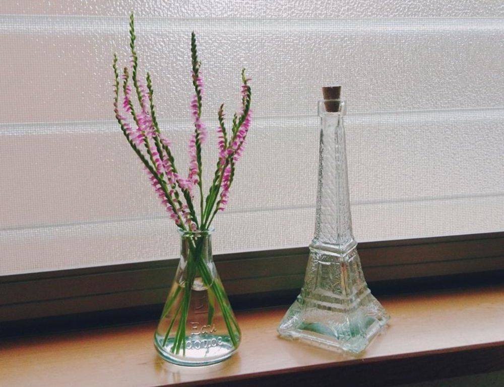 ネジバナ(捩花)　花瓶