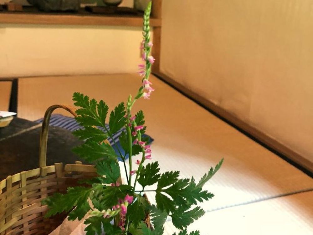 ネジバナphoto by マンゴーさん