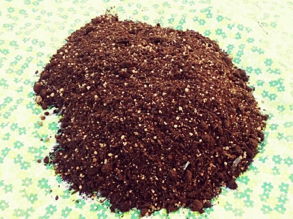 グレープフルーツ　用土