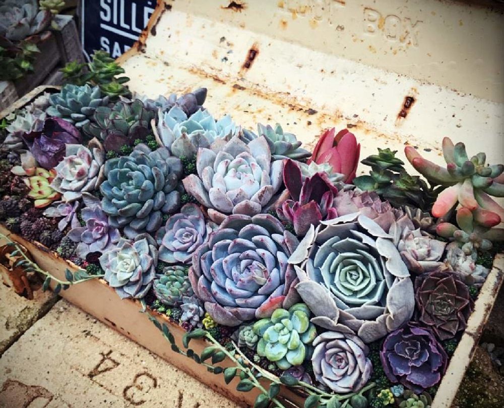 ベルムの画像、Photo by shhさん