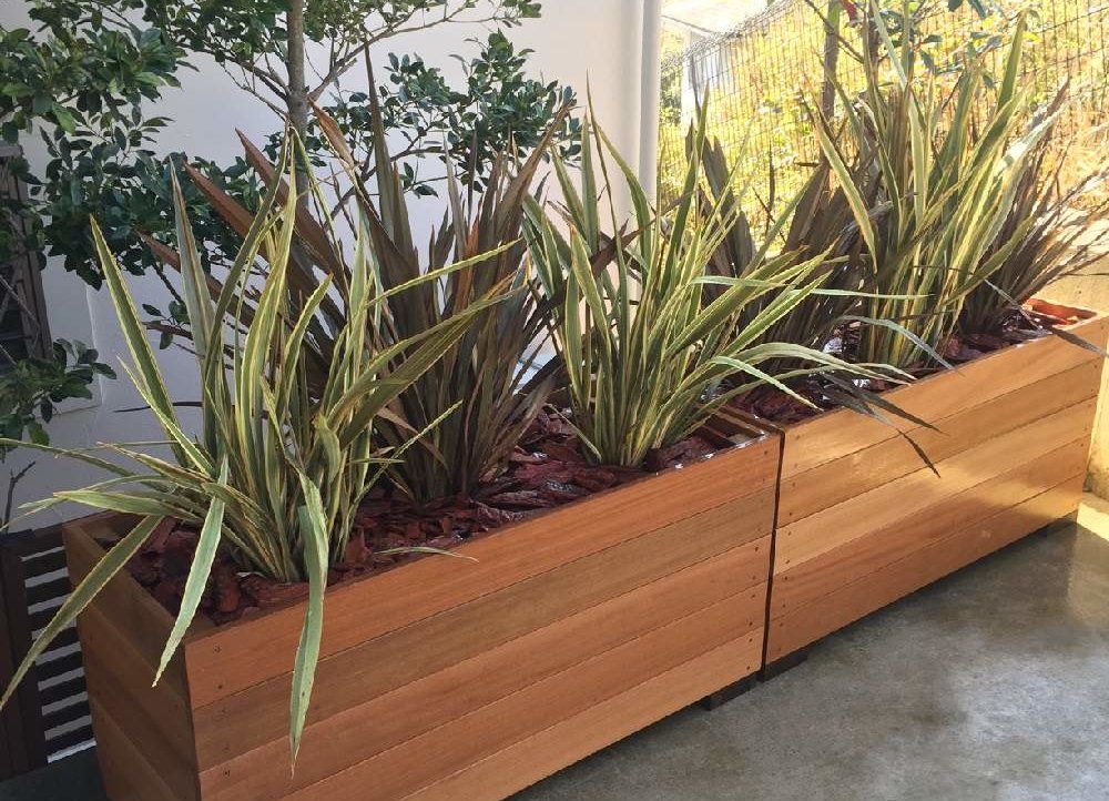 ニューサイラン　プランター　屋外