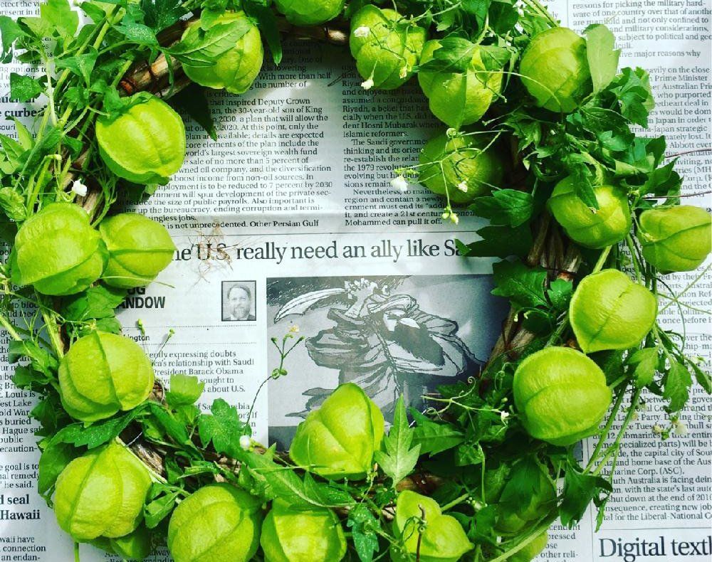 フウセンカズラ　リース