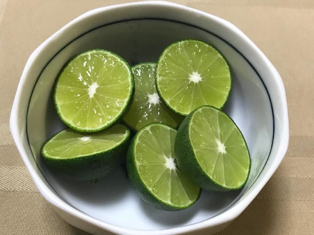 スダチの木　実　断面