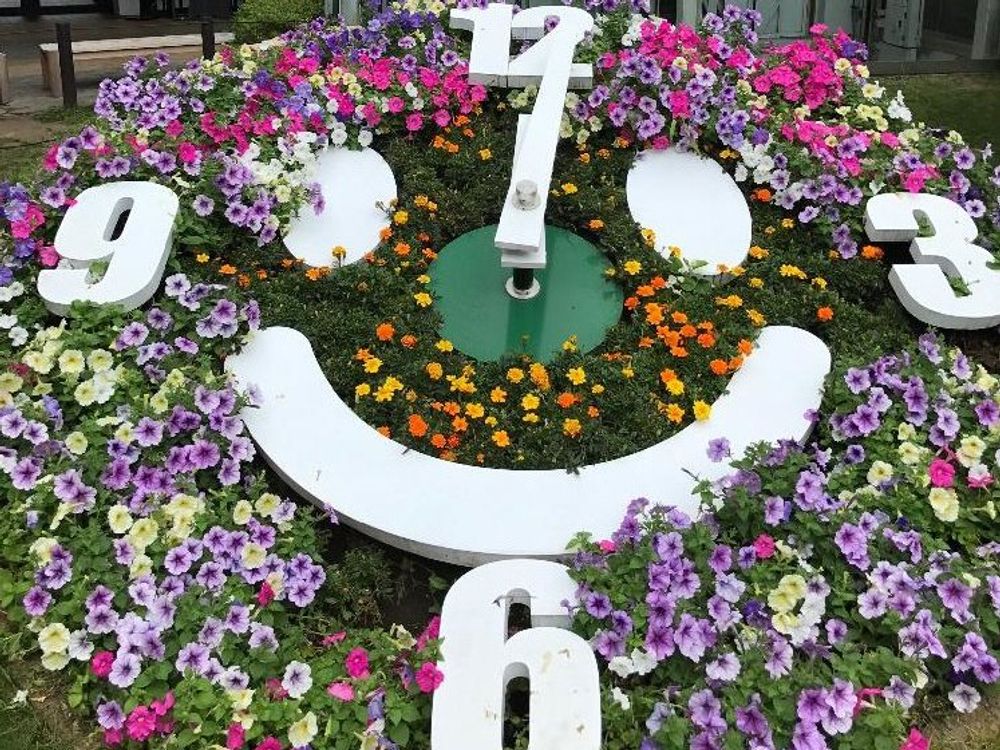 サフィニア　花時計