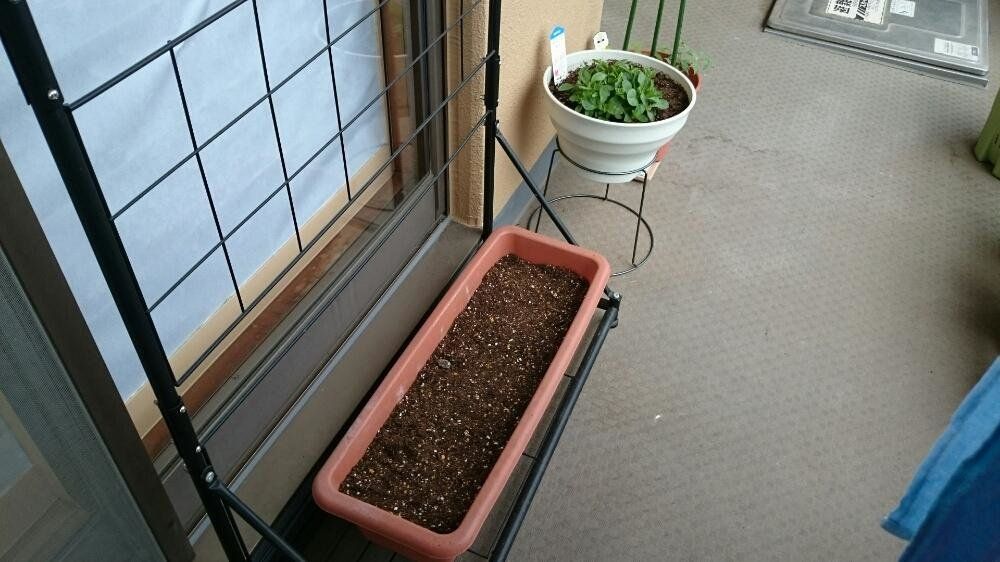 サフィニア　プランター　用土