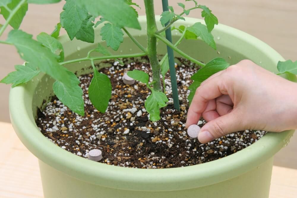 ハイポネックスのおいしく育てるトマトの肥料