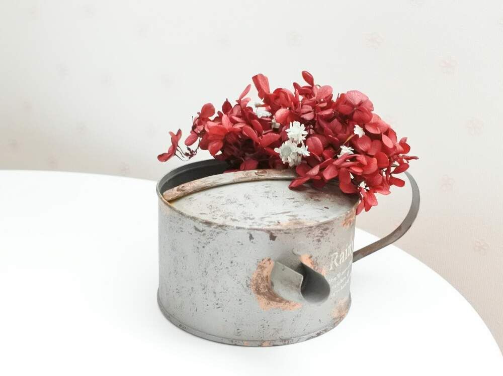 ジョウロ　Photo by ナビーさん