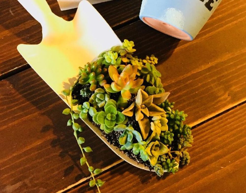 シャベル　Photo by 花ママさん