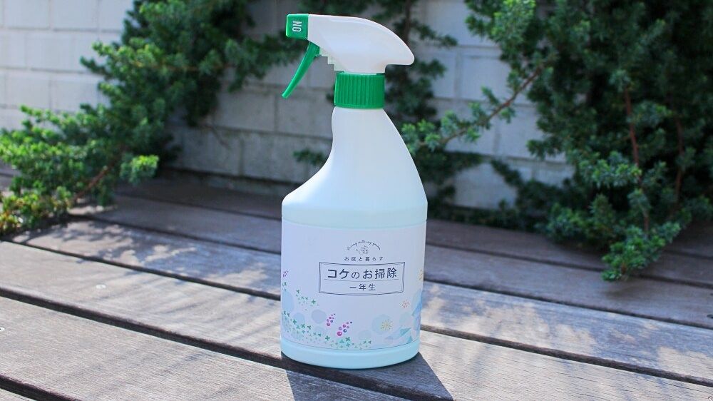 お庭と暮らす　コケのお掃除一年生