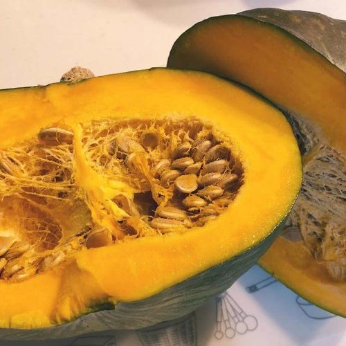 かぼちゃの育て方 プランター栽培もできる 種まきや受粉 摘心の方法は Greensnap グリーンスナップ