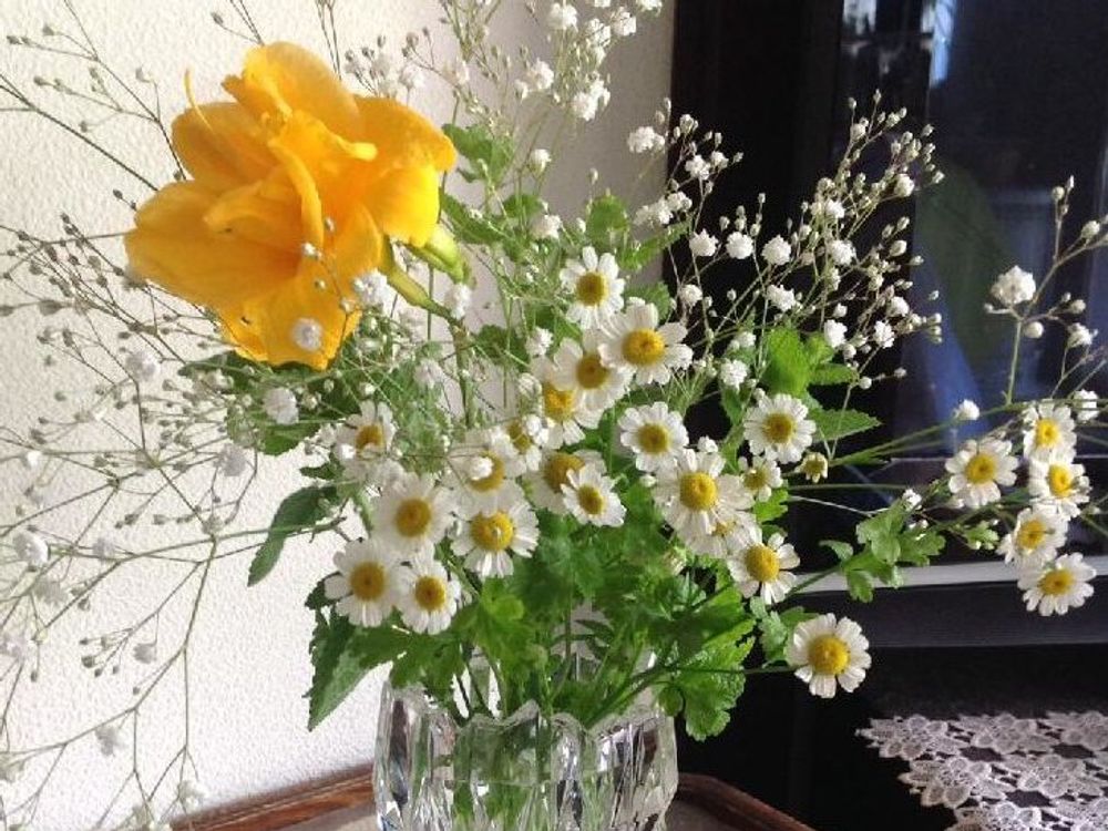 ヘメロカリス　黄色い花　花瓶