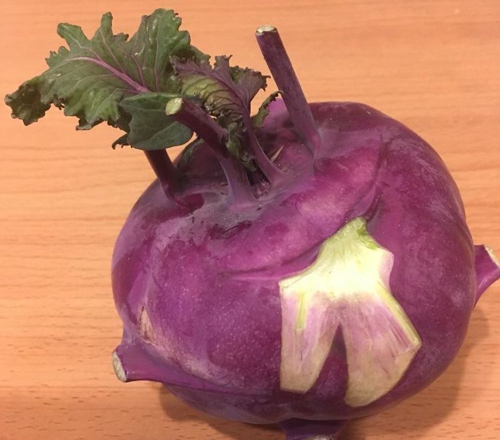 コールラビ Photo by BLUEROSE213 